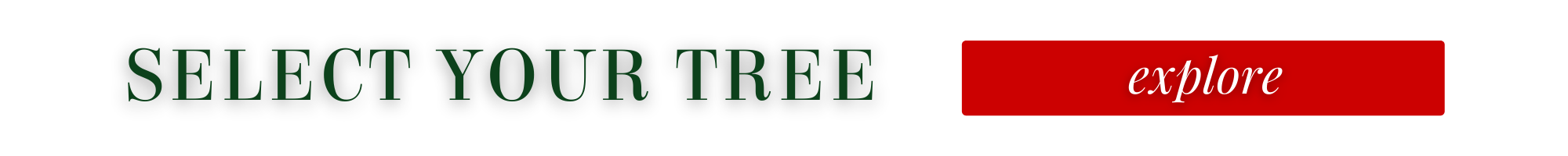 click here to see our selection of trees 
